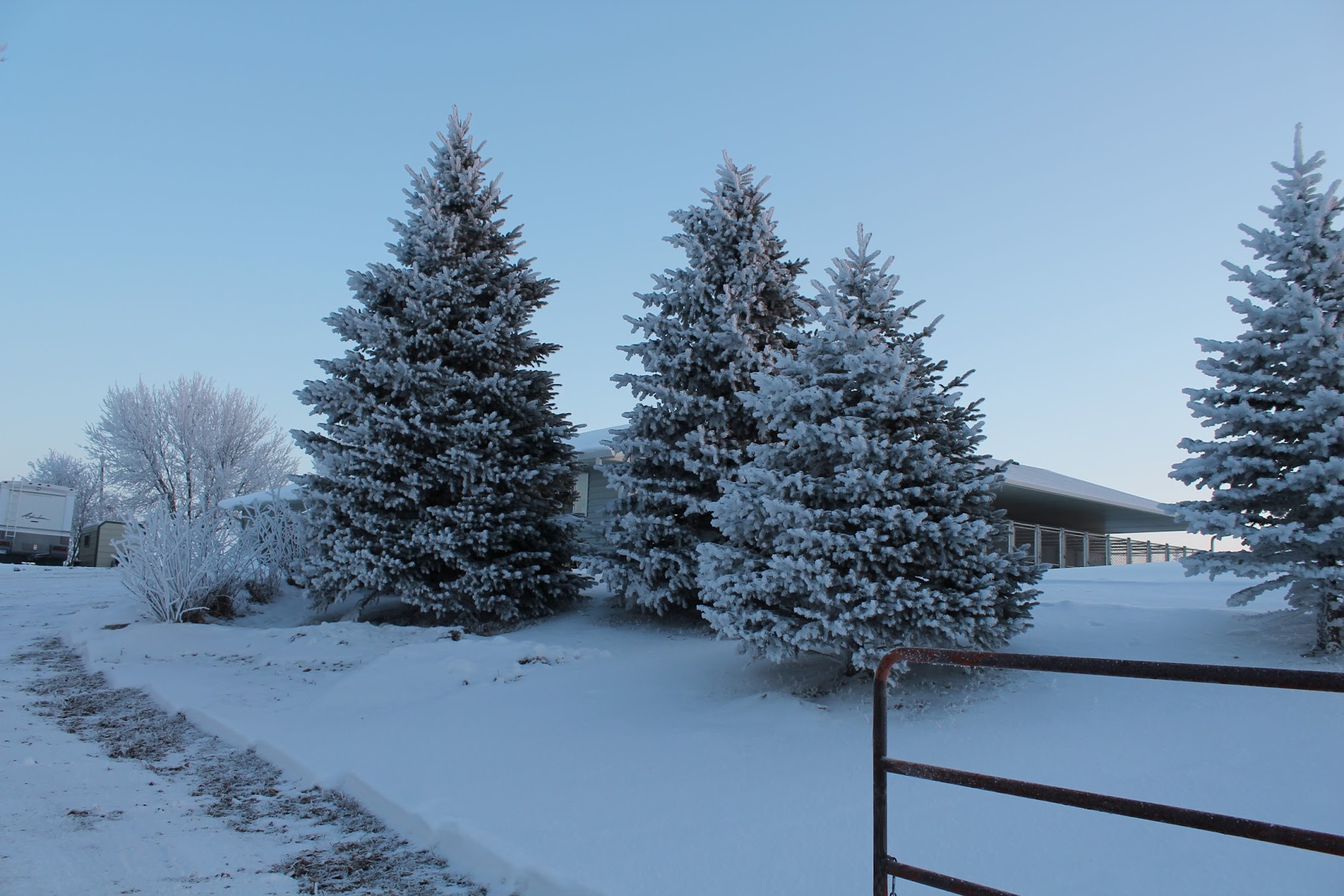 R Place Kennel Hartford