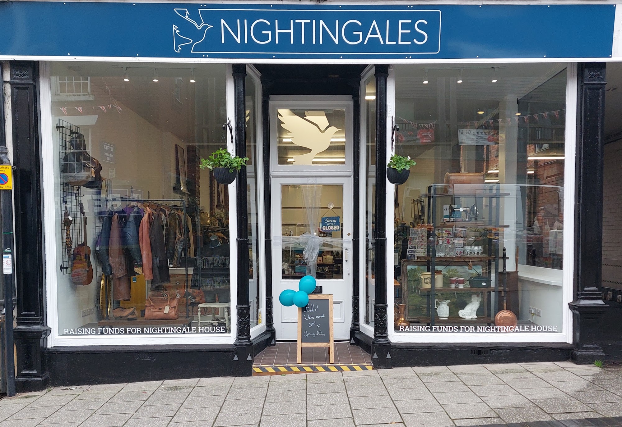 Nightingales
