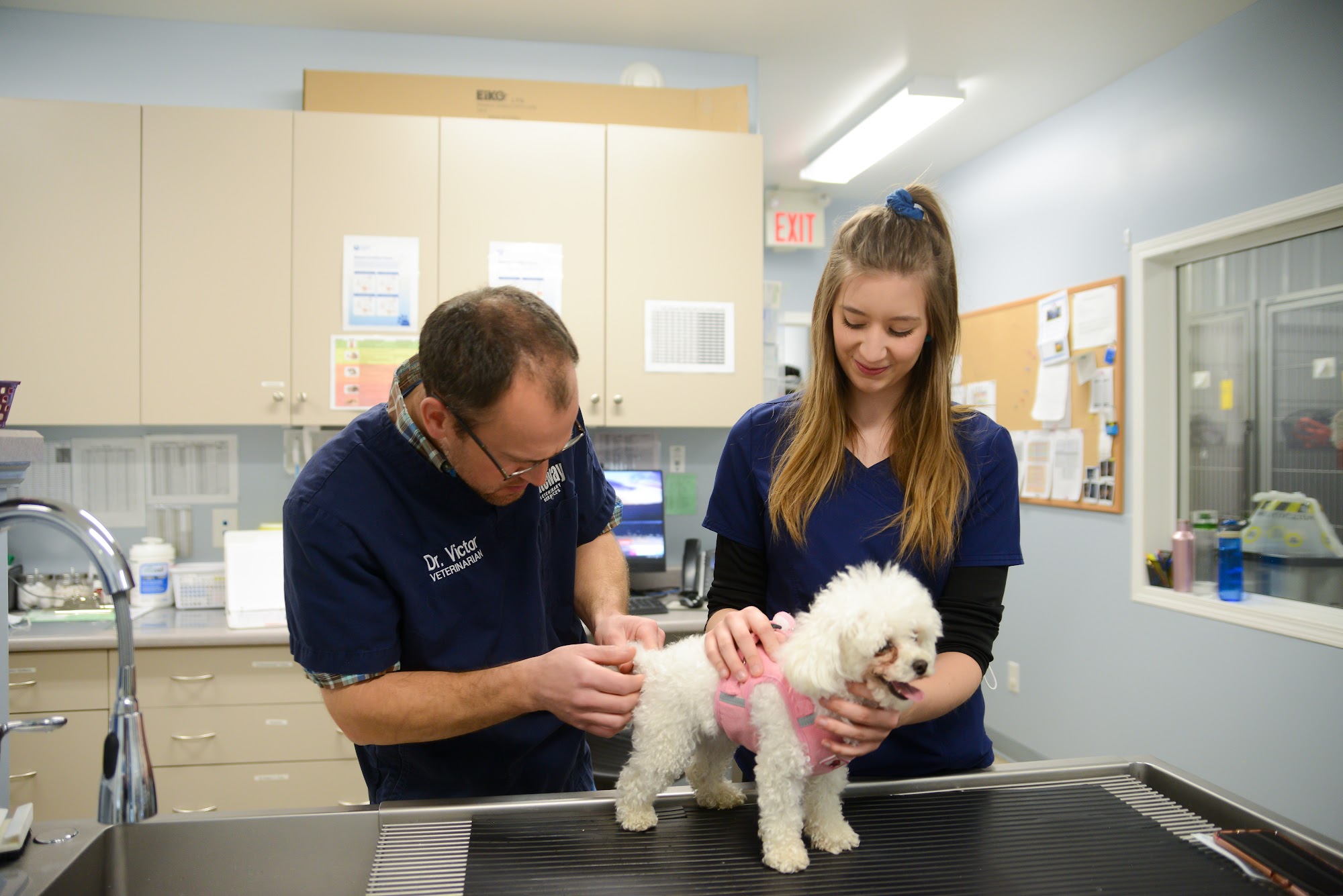 Gateway Veterinary Services 710 Hamilton Ave W, Melfort Saskatchewan S0E 1A0