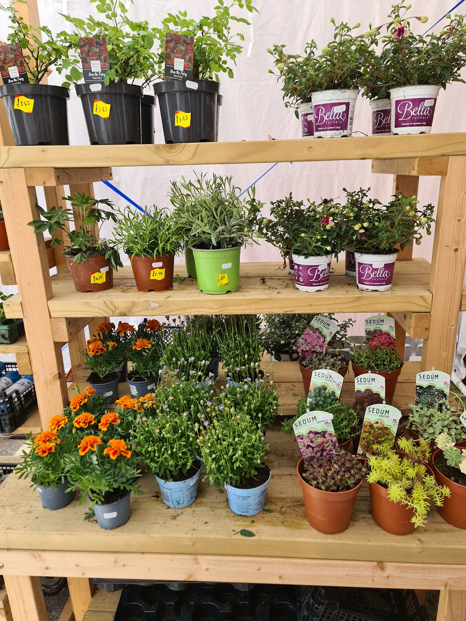 Veggie Patch Farm Shop Watchet