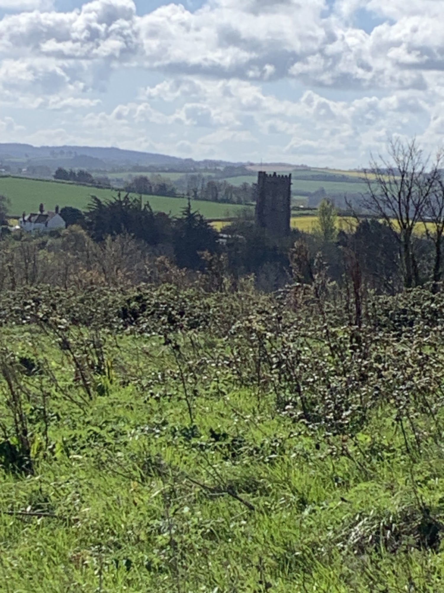 St Decumanus, St Decumans Watchet