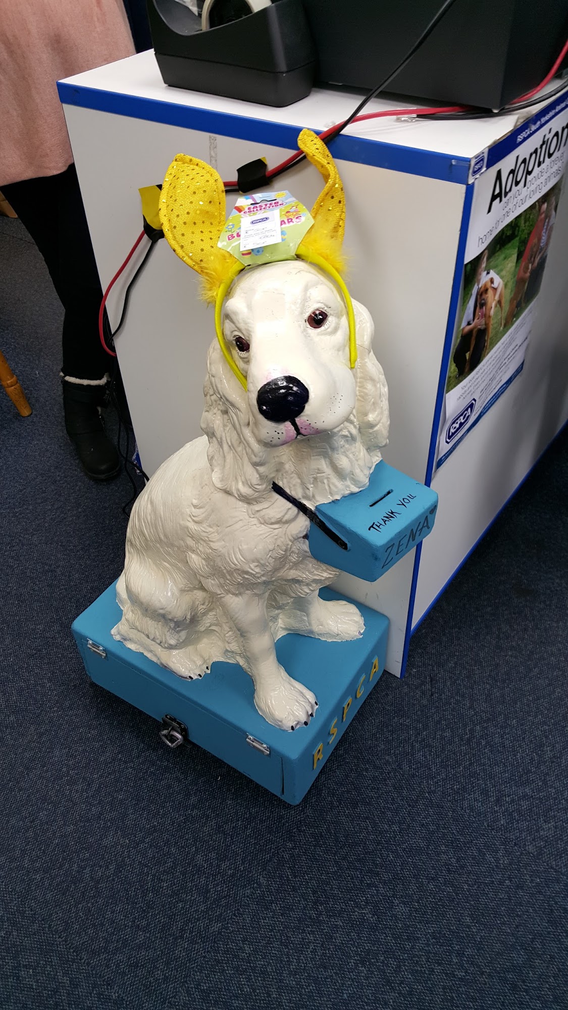 RSPCA Rotherham
