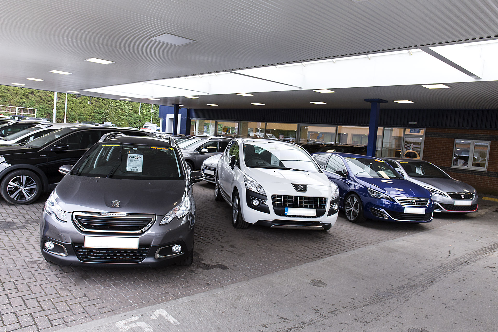 Wilsons Peugeot