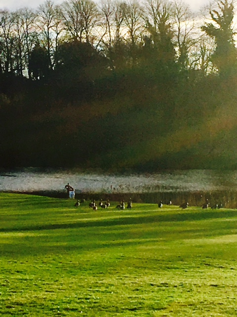 Godstone Golf Club