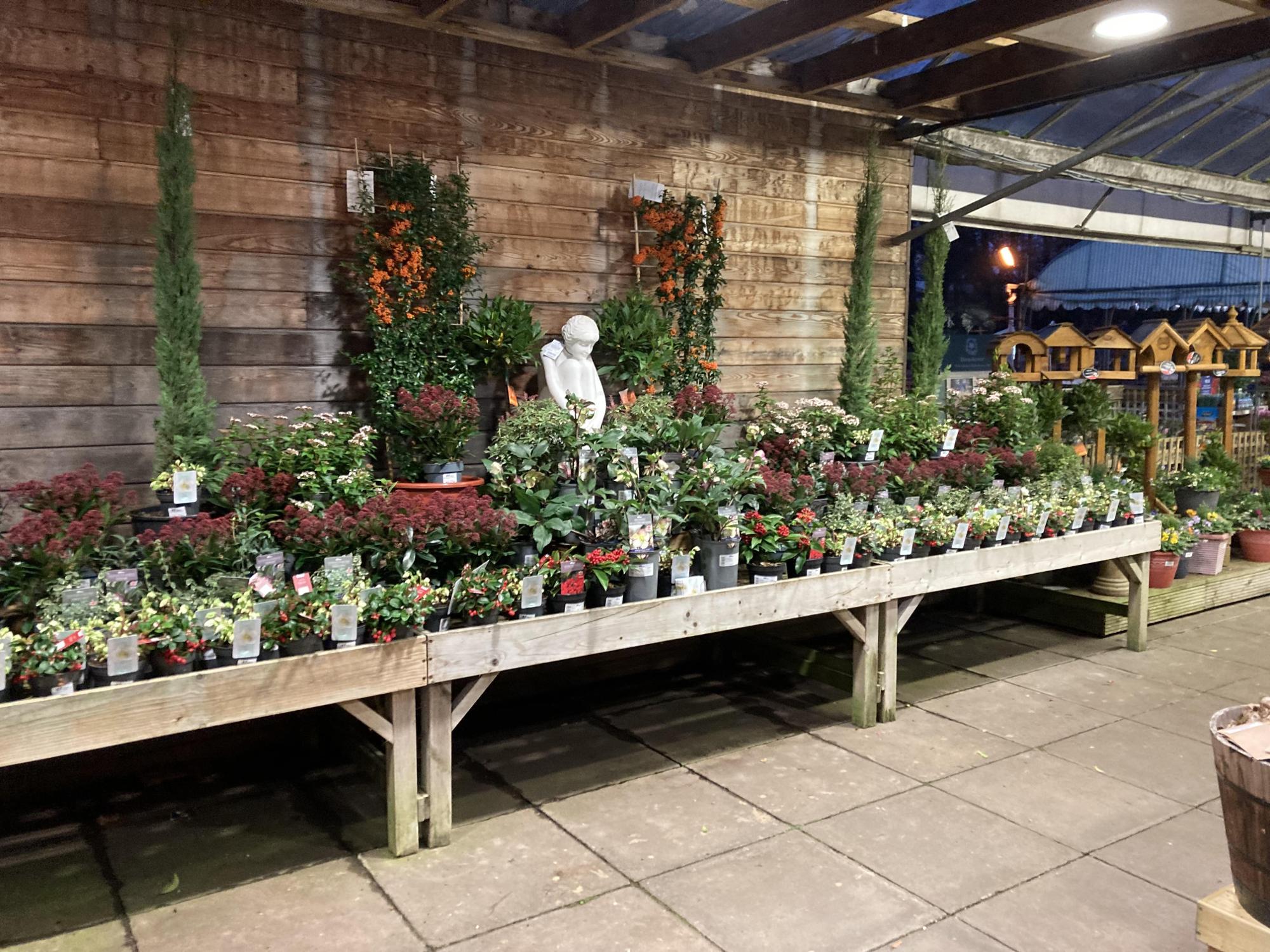Hillier Garden Centre Sunningdale