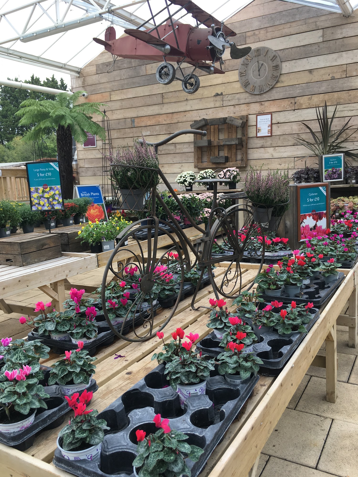 Squire's Garden Centre