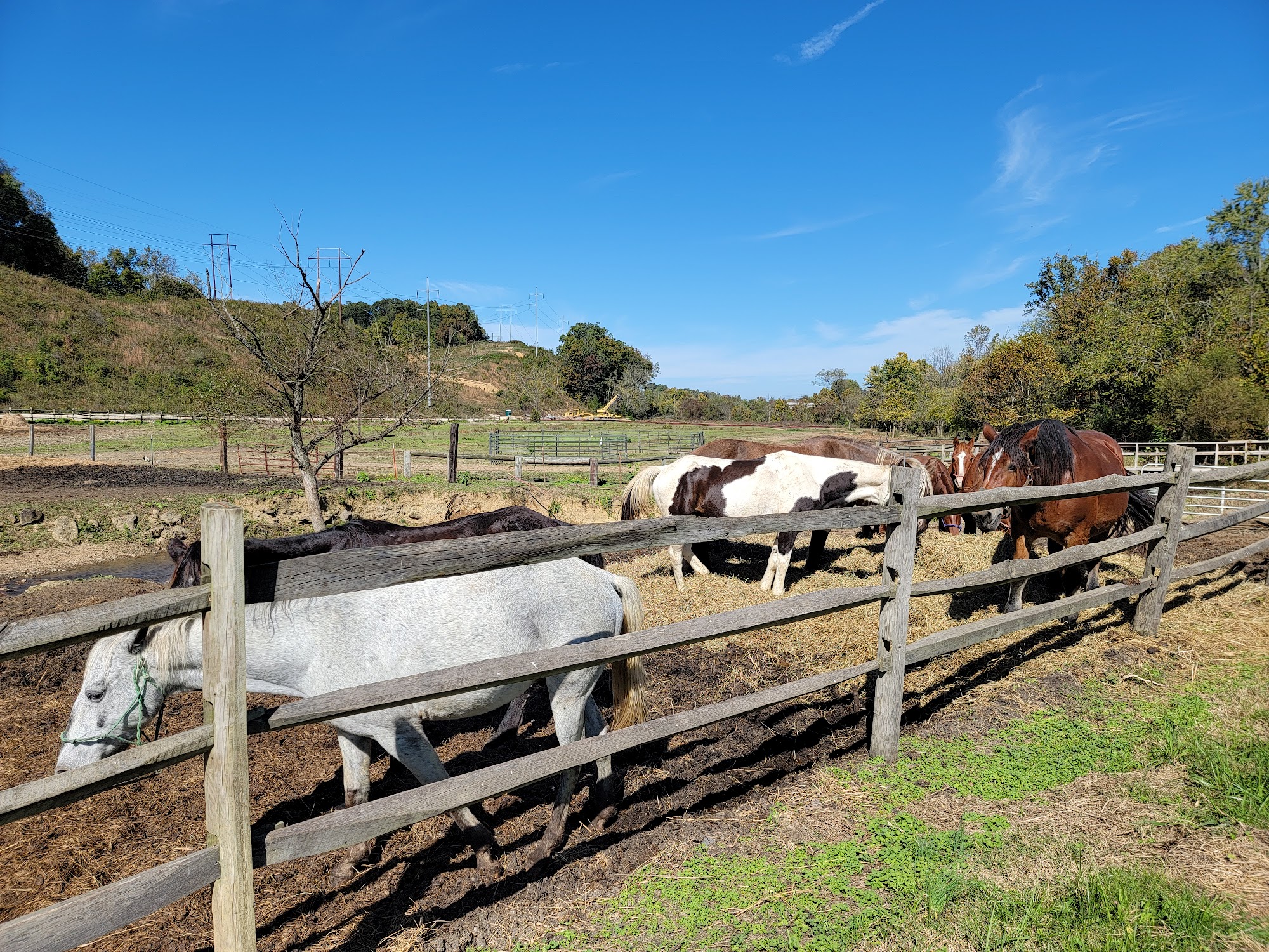 Goldrush Stables 2202 Goldrush Rd, Pigeon Forge Tennessee 37863