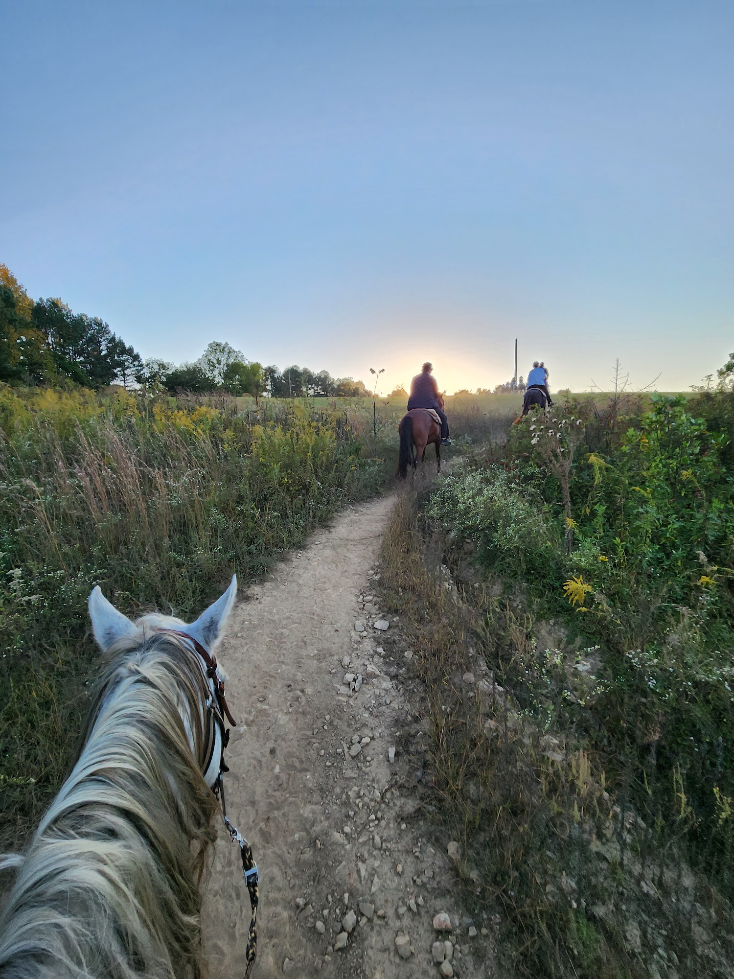 Natchez Trace Stables 6691 Lick Creek Rd, Primm Springs Tennessee 38476