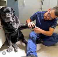 Highland's Pet Medical Clinic