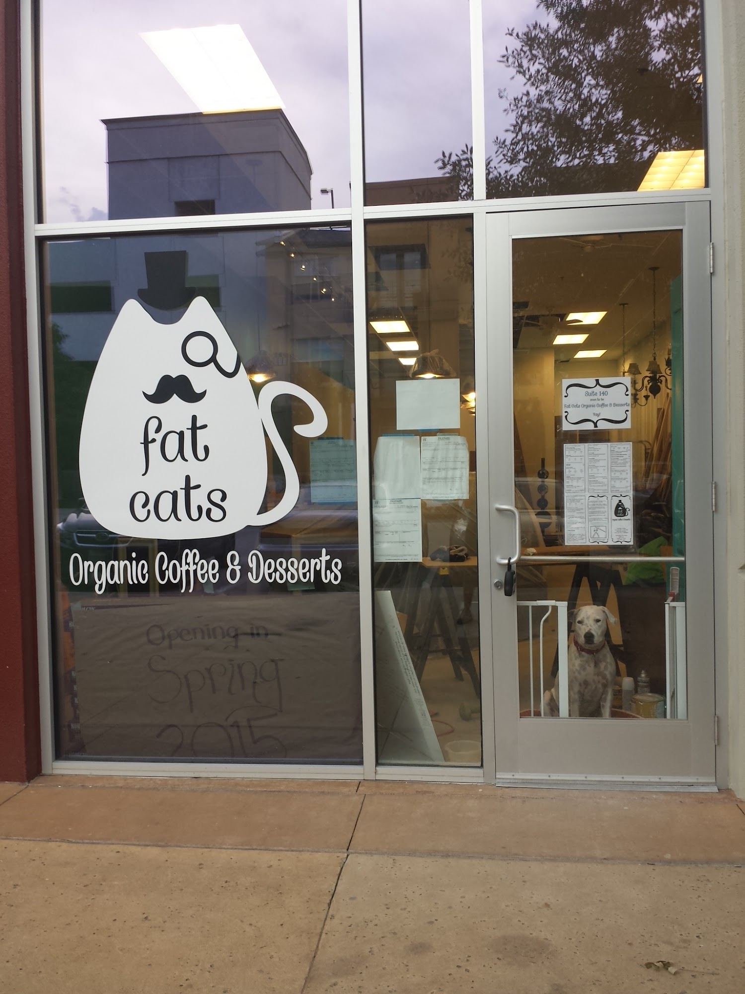 Fat Cats Organic Coffee & Desserts