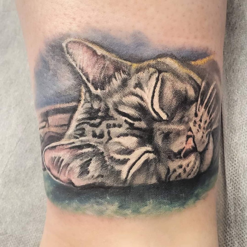 Photo credit: 