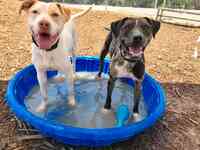 PAWS Shelter of Central Texas - Dripping Springs Campus