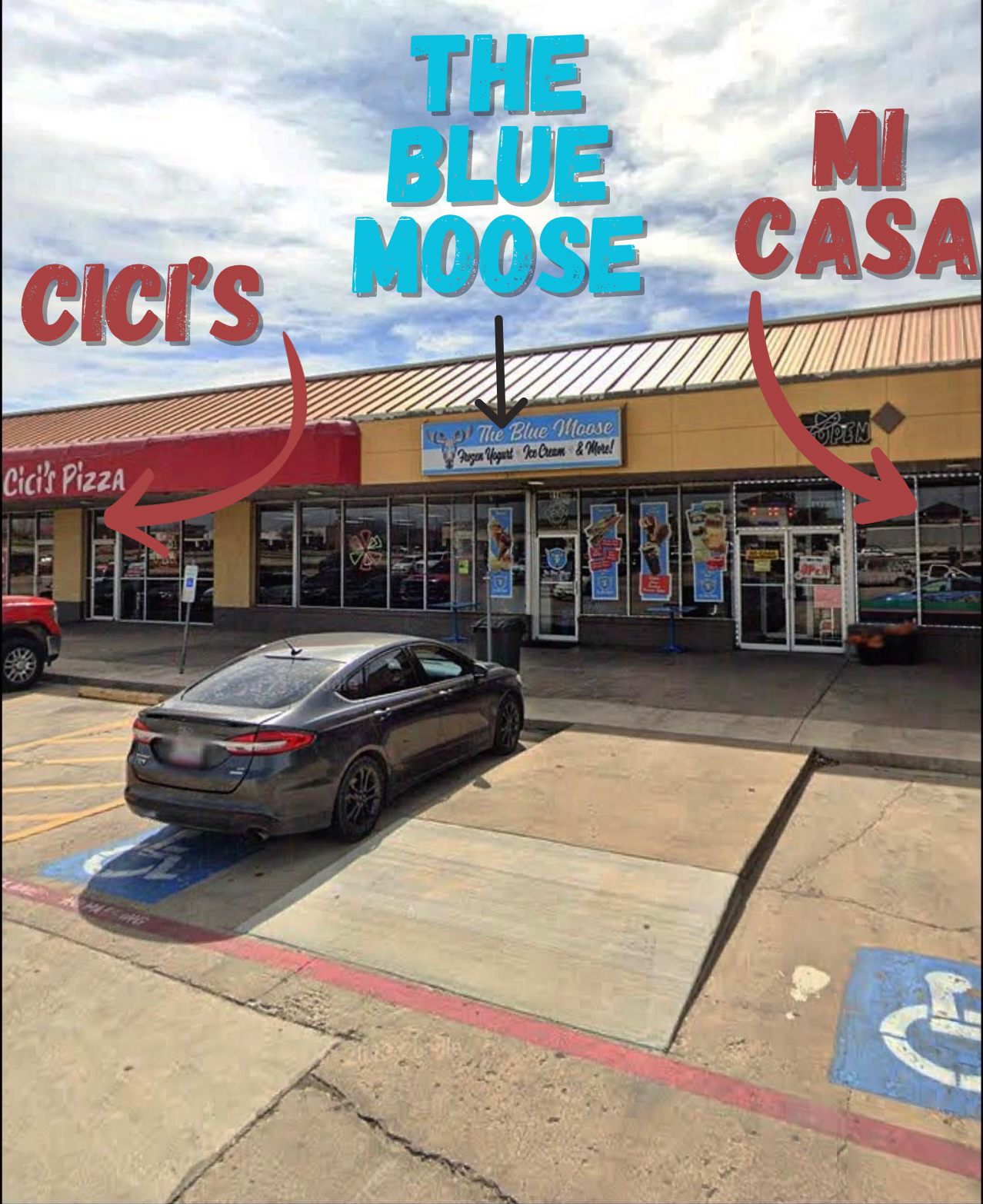 The Blue Moose