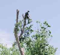 Price Right Professional Landscaping & Tree Service