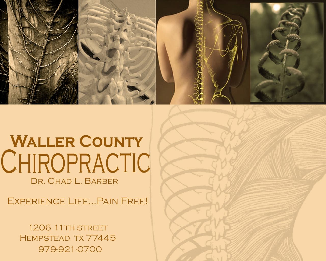 Waller County Chiropractic: Chad Barber 1206 11th St, Hempstead Texas 77445