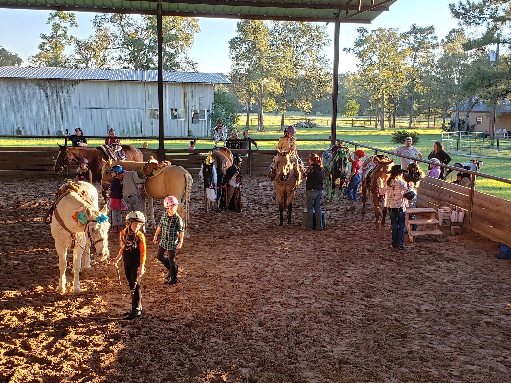 Sally's Horses 24397 Pinewood Valley Dr, Hockley Texas 77447