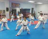 American Shotokan Karate Academy