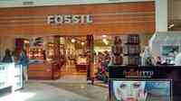 Fossil Store