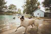 The Barkly Pet Retreat & Spa, LLC