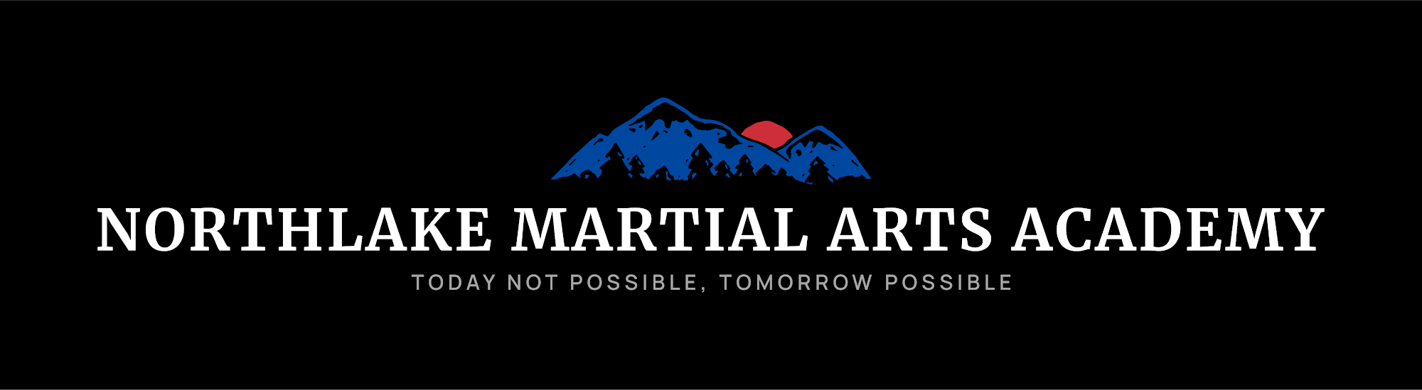 Northlake Martial Arts Academy 1236 FM 407 suite 300, Northlake Texas 76226