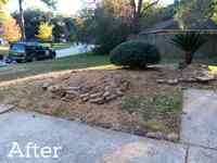 N2deep Stump Grinding and Removal