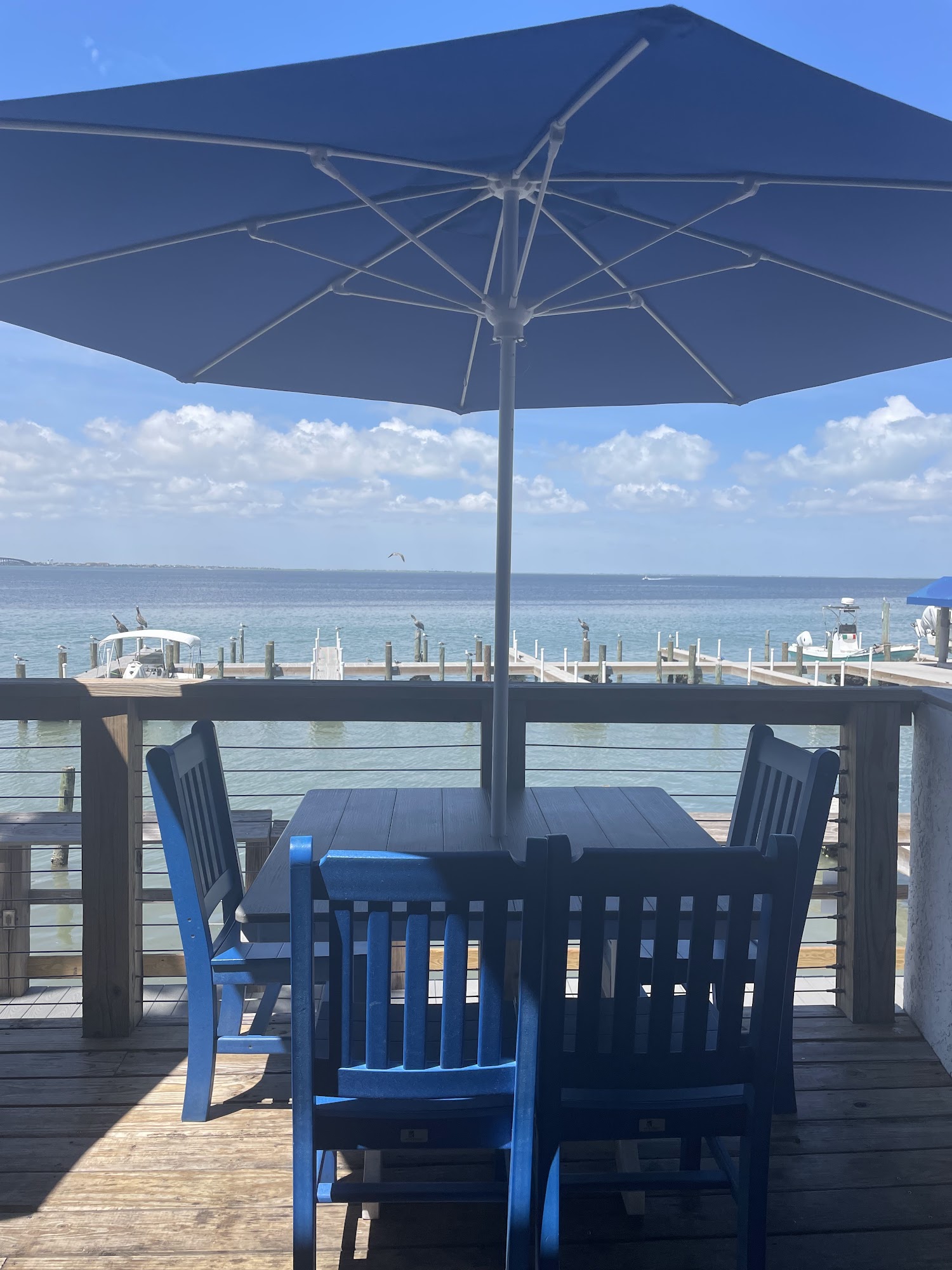 Viva, South Padre Island - Menu, Reviews (218), Photos (21) - Restaurantji