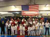 American Karate Institute