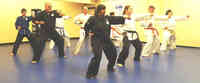 Ellis County Martial Arts