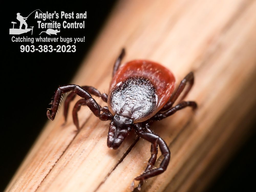 Anglers Pest Termite Control 126 S Main St, Yantis Texas 75497