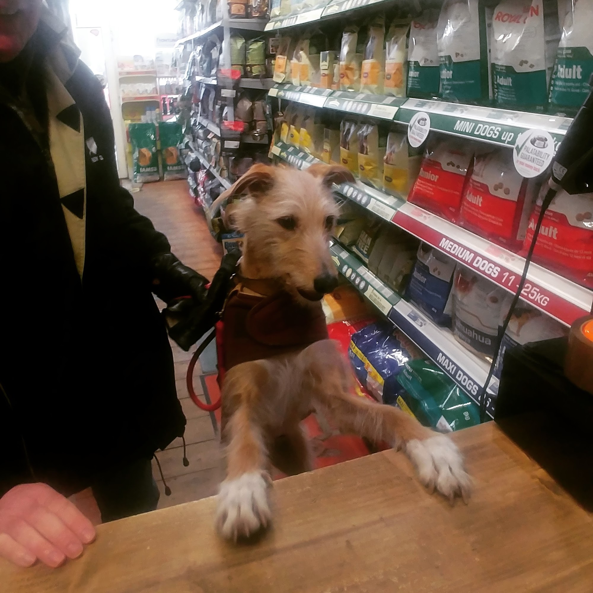 JP's Pet Supplies Sunderland
