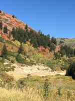 Cottonwood Canyons Realty