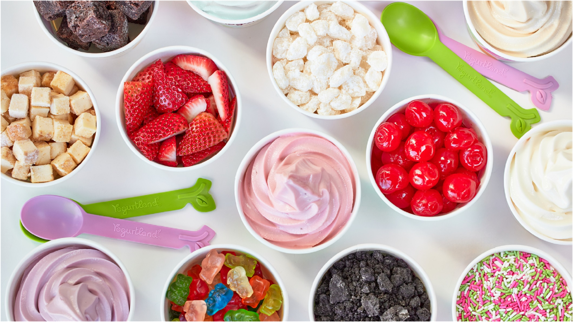 Yogurtland St. George