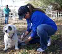 Mountain Edge Veterinary Technology