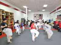 YJ Tae Kwon Do Academy