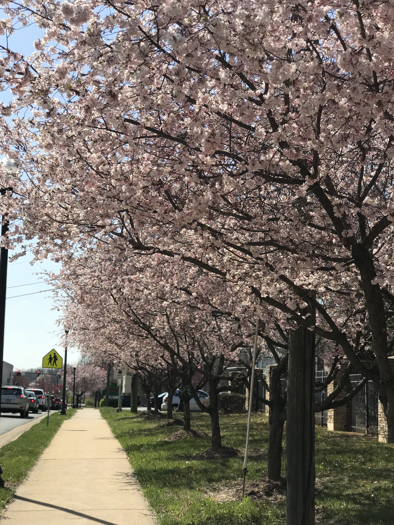 FAIRFAX RACQUET CLUB - Fairfax VA - Hours, Directions, Reviews - Loc8NearMe