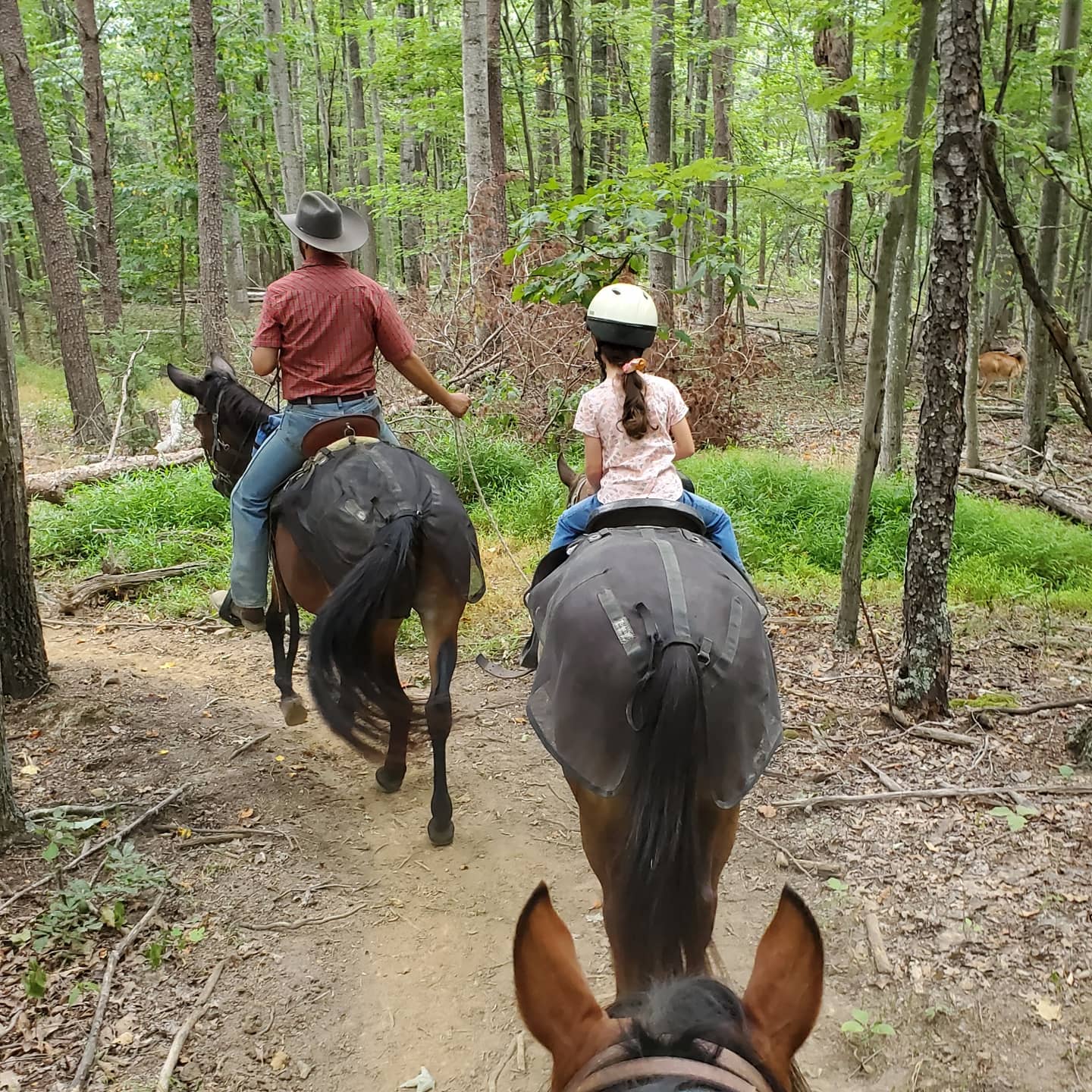 Fort Valley Ranch/Trail Rides/Campground/Cabins 299 S Fort Valley Rd, Fort Valley Virginia 22652