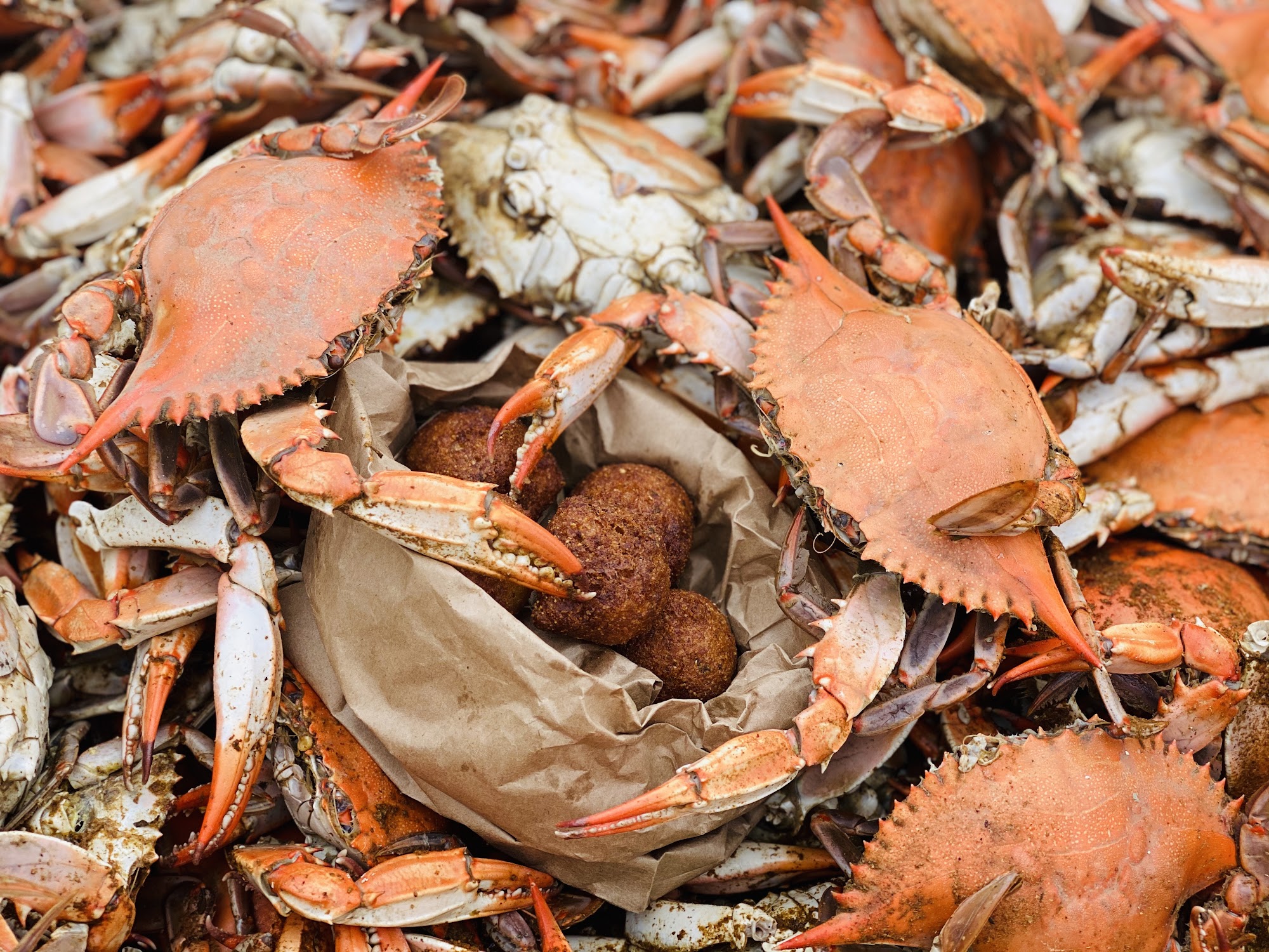 Decatur's Crabs