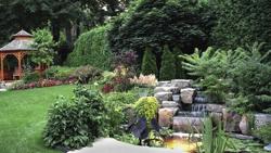 Amigo's Landscaping, Contracting and Handyman Services