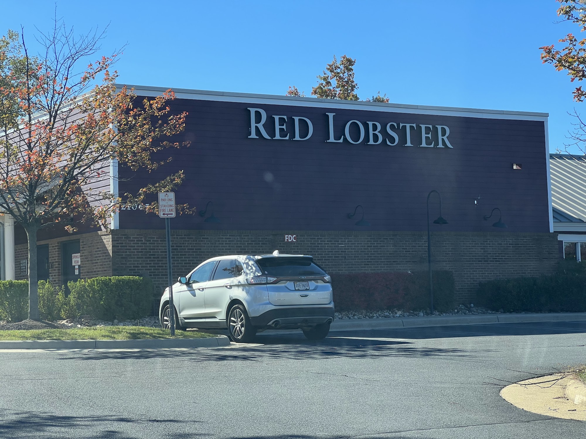 Red Lobster