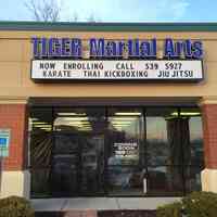 TIGER Academy of Martial Arts