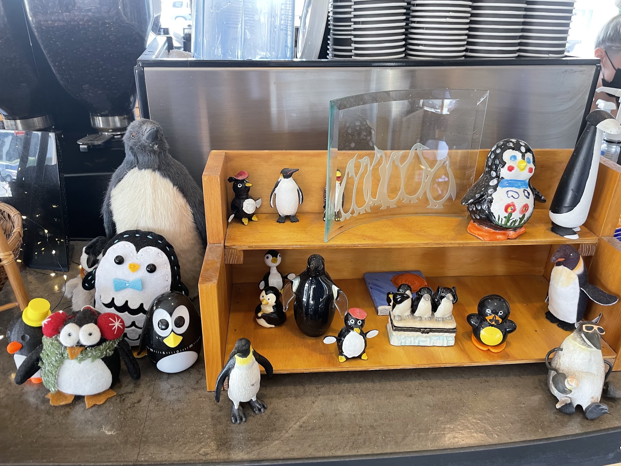 Penguin Coffee LLC