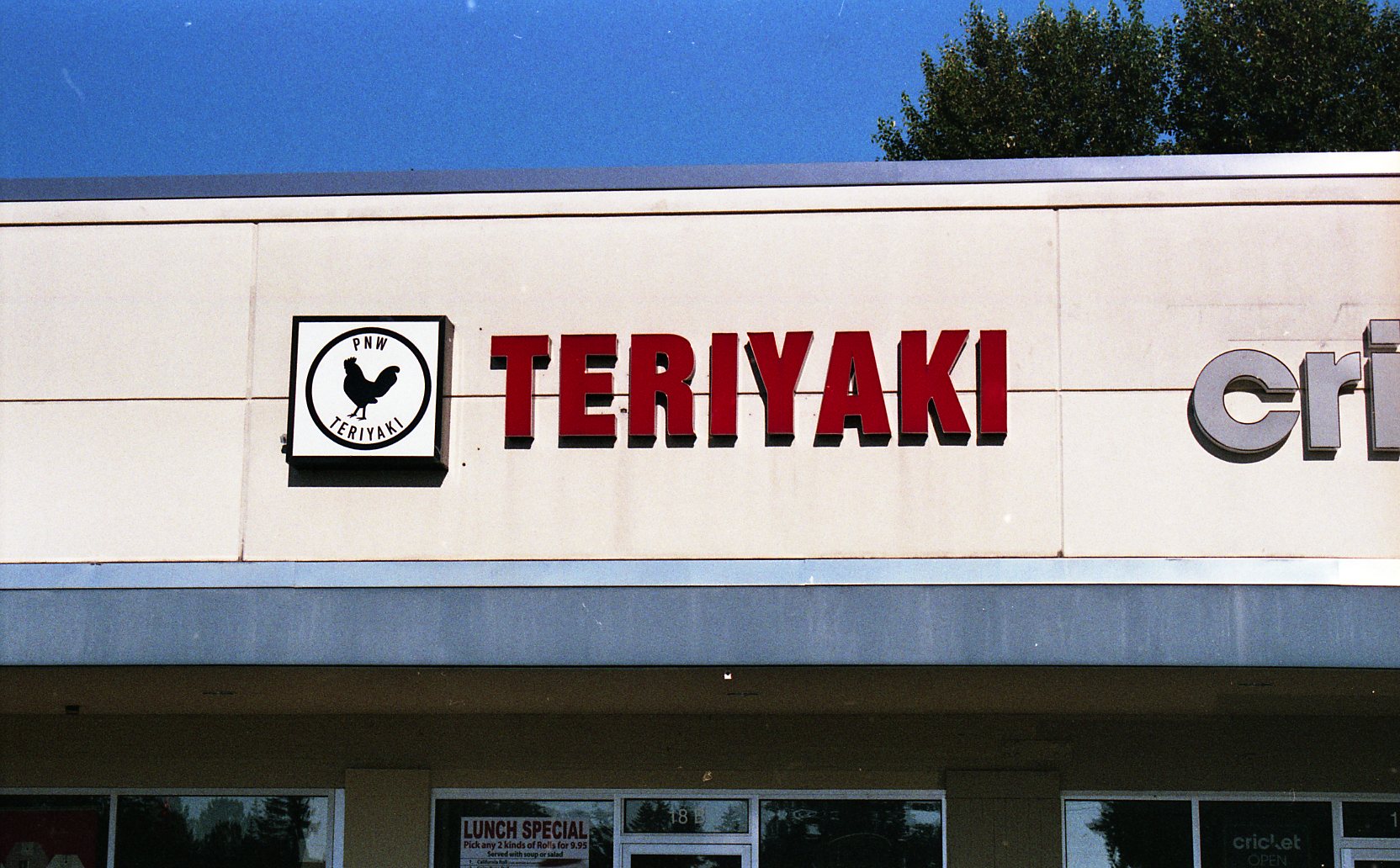 PNW Teriyaki