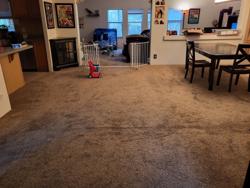 A Advanced Carpet Cleaning