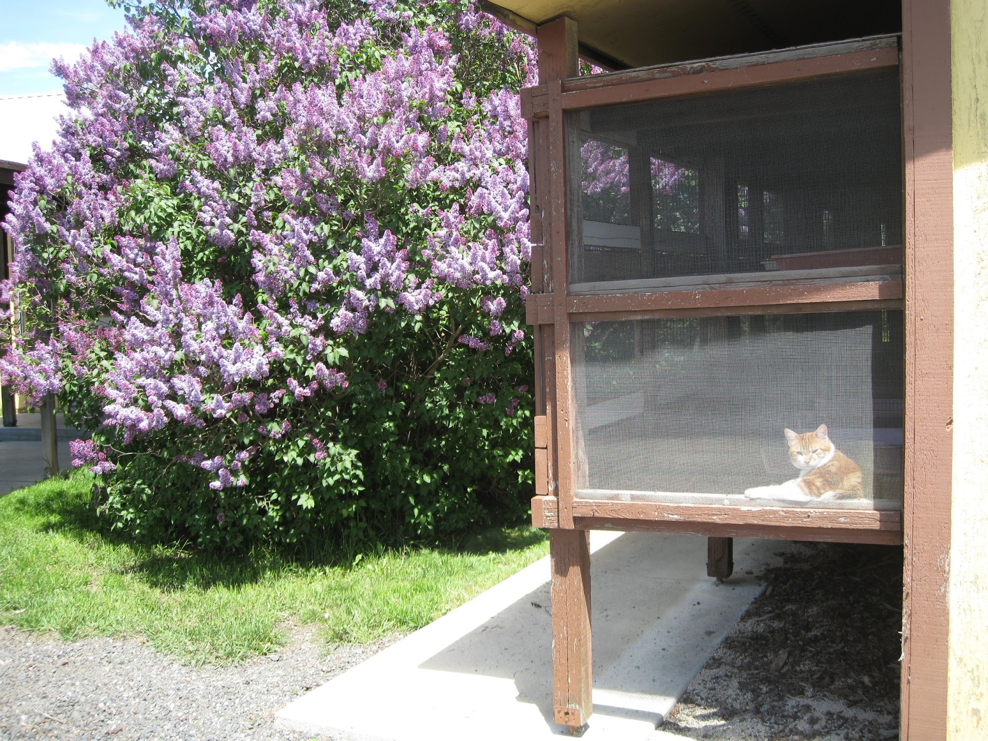 West Wind Kennels 5620 S Craig Rd, Medical Lake Washington 99022