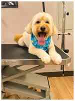 Happy Paws Salon Canino
