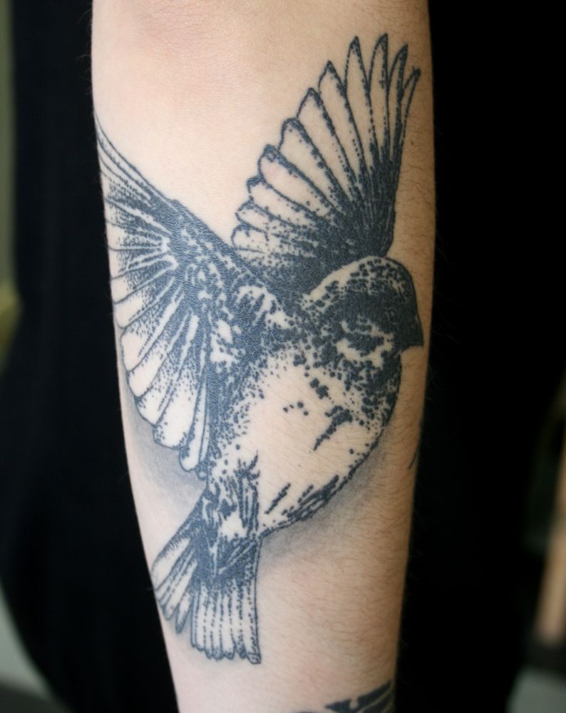 Photo credit: 