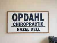 Opdahl Chiropractic & Regenerative Medicine - Hazel Dell