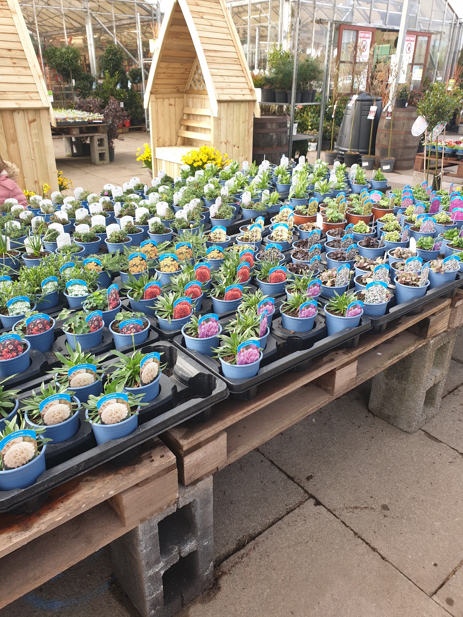 Abergavenny Garden Centre