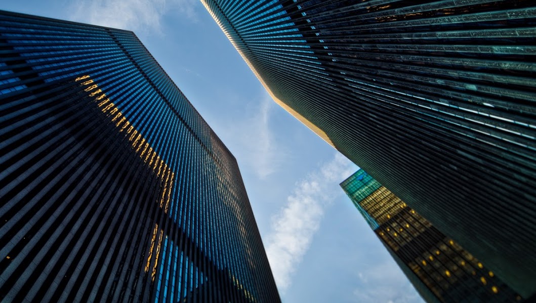 Paul Dodd Asset Management Ltd