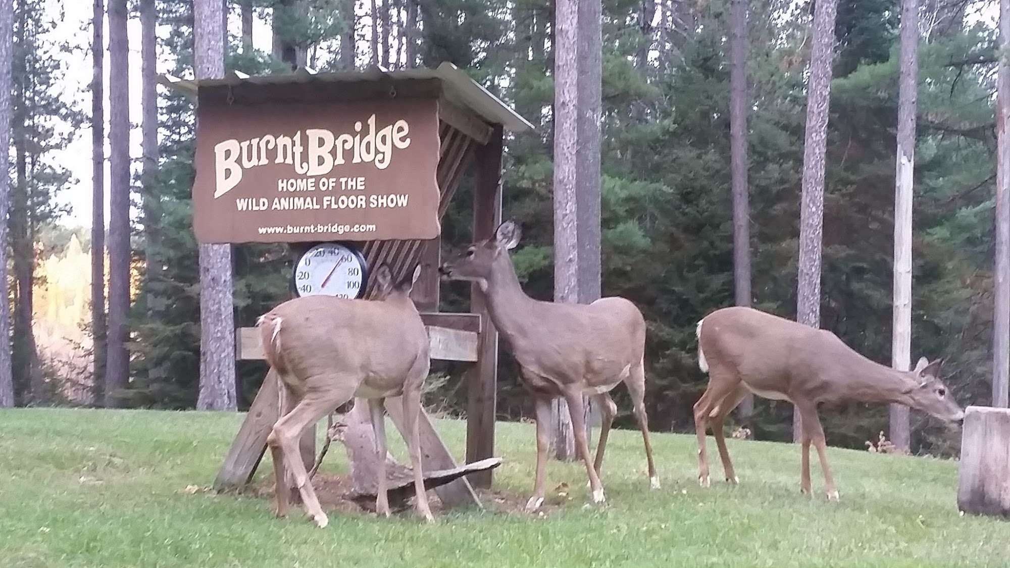 Burnt Bridge Tavern